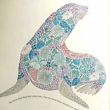 Interview With Milliemarotta Illustrator Of Adult Colouring Books With Culture Toronto And Sterlingbooks Culture Toronto I can't wait to try all the fun animals in this book especially the bunnies and squirrels that. illustrator of adult colouring books