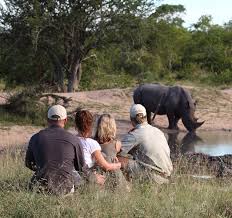 Kruger national park was first established as a wildlife refuge in 1898 when it was proclaimed as the sabie game reserve by the president of the transvaal republic, paul kruger. Kruger National Park Activities Ecotourism Kruger Park Matriarch Africa
