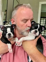 Adoptable Phoenix with Cerebellar Hypoplasia here