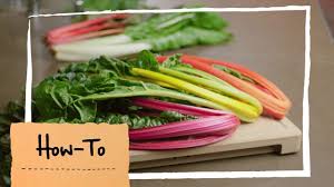 Oder vielleicht eine alternative die ich verkochen kann? Pin Auf Tipps Tricks Rund Ums Kochen