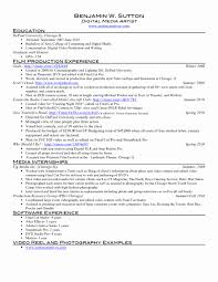 Hair Stylist Biography Samples Unique Hair Stylist Resume ...