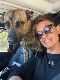 Dog owners sharing photos and stories of their pets