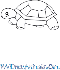 Today we learn how to draw a turtle. How To Draw A Simple Turtle For Kids