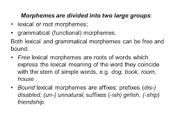 A morpheme is the smallest meaningful lexical item in a language. Morphemes