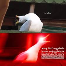 Someone Found This High School Kid S Senior Science Meme Page And It S Next Level Legend Of Zelda Memes Zelda Memes Zelda Funny