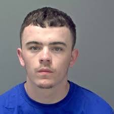 Thrill-seeking' burglar jailed for nearly four years after admitting string  of crimes