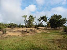 We would like to show you a description here but the site won't allow us. Maasdunen Maasduinen Wanderwegewelt