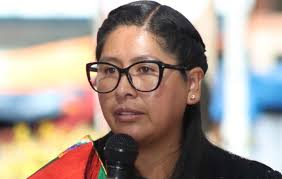 Alcaldía de El Alto califica como 'rumores' posible acercamiento de Copa con  Reyes Villa para las elecciones