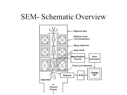 Walk through how to create your. Sem Schematic Overview Electron Detection Tungsten Filament Electron Source Ppt Download