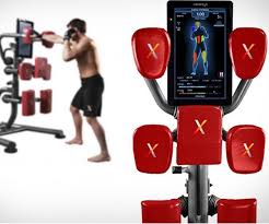 Nexersys Boxing Unit For Your Home Workout Regime Gadget Flow