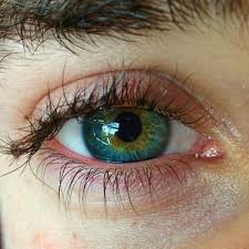 Http Markparham Tumblr Com Beautiful Eyes Color Cool Eyes Eye Photography