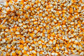 Download 16 Bag With Corn Balls Yellowimages