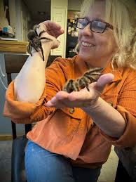 Yes I have a rash from the urticating hairs now too