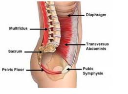 Close to my spine it sends a sharp pain all over my back. The Sneaky Link Between Low Back Pain And Urinary Leaks Moveu