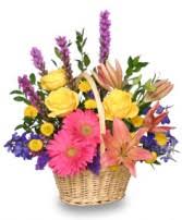 We did not find results for: En Espanol Tampa S Florist Inc Tampa Fl