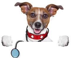 Securities Law and Going Public Blog