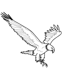 Check spelling or type a new query. Good Quality Bird Coloring Sheet For Kids