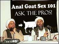 anal goat sex ask the pros