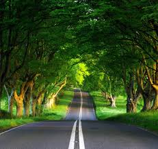 Pin by Babka Jaga on Pathways | Nature desktop, Nature desktop wallpaper, Hd  nature wallpapers