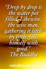 Every cell, tissue, and organ in your body needs water. A Jug Fills Drop By Drop Fake Buddha Quotes