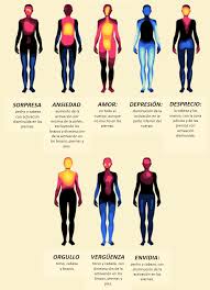 Otra singularidad de la emoción de sorpresa proviene de su tono hedónico, ya que aunque anecdóticamente se ha considerado a la sorpresa como una emoción positiva, en realidad se trata de una reacción. Donde Se Sienten Las Emociones En El Cuerpo Esta Infografia Lo Muestra Somatic Experiencing