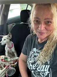 Pensacola Pets Lost and Found