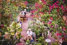 Tripadvisor has 56,977 reviews of flores hotels, attractions, and restaurants making it your best flores resource. Bar Flores