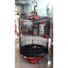 Cari produk kandang burung lainnya di tokopedia. Sangkar Murai Bnr Racing Shopee Indonesia