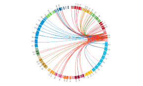 We try to collect largest numbers of png images on the web. Home Knowsdgs