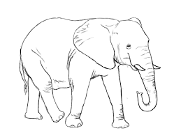 Realistic elephant drawing trunk up. Simple Elephant Drawing Trunk Up Novocom Top