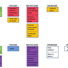 Experimental Daily Work Chart For The Mase Mount Academy
