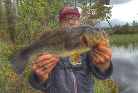 Black Bass Peche Bass Peche Carnassier