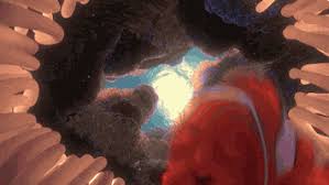 Maybe you would like to learn more about one of these? Nemo Gifs Get The Best Gif On Giphy