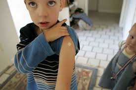 City to trap and kill aggressive squirrels