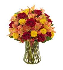 We did not find results for: Janousek Florist Autumn Fall Red Roses And Alstromeria