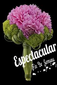 Pin De 05 11 En Saludos Frases Graciosas De Buenos Dias Hola Buenos Dias Frases Saludos De Buenos Dias