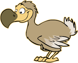 dodo by toonmascots deviantart com on deviantart bird drawings cartoon birds dodo