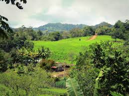 Rancho Grande Nicaragua American Travel Places To See Natural Landmarks