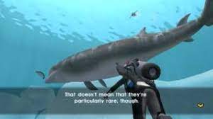 Best archive of endless ocean: Let S Play Endless Ocean Blue World Episode 25 Genre Penguin Shooter Youtube