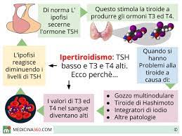 Più raramente, può dipendere da una resistenza, da parte dei vari tessuti del corpo, all'azione dei suddetti ormoni. Ipertiroidismo Valori Sintomi Cause Dieta Cura E Conseguenze