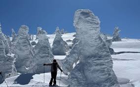 Image result for Hakkoda Walk