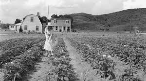 Black Farmers In America, 1865-2000