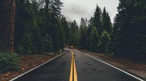 Download Wallpaper 1920x1080 Road Marking Trees Turn Asphalt Forest Computer Wallpaper Desktop Wallpapers Desktop Wallpaper Macbook Macbook Air Wallpaper