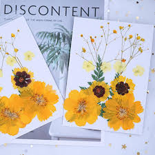 Best flowers to dry and press. Lots Mixed Real Pressed Flower Dried Flowers For Resin Jewellery Scrapbooking Phone Case Making Crafts Diy Dry Plants Best Promo 7efec Goteborgsaventyrscenter