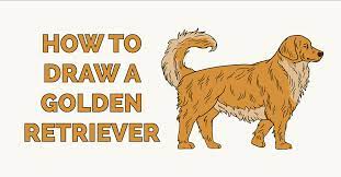 Use curved lines to sketch in details around the guide lines. How To Draw A Golden Retriever Really Easy Drawing Tutorial