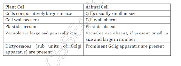 Check spelling or type a new query. Study Notes For Delhi Public School The Fundamental Unit Of Life Cbse Class 9