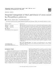 Cocoa swollen shoot virus disease: Pdf Integrated Management Of Black Pod Disease Of Cocoa Chandra Mohanan Academia Edu