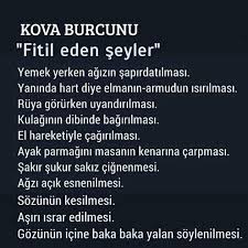 Gunluk Burc Yorumlari Burclar Kova Burc Burc Bilgileri