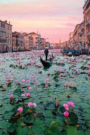 Check spelling or type a new query. Most Beautiful Place To Spend Your Honeymoon Venice Italy Hairminia Beautiful Places To Travel Beautiful Places To Visit Places To Travel