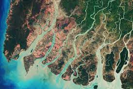 Deltas are formed from the deposition of the sediment carried by the river as the flow leaves the herodotus the great historian coined the term delta for the nile river delta because the sediment. Estimating River Delta Change With Google Earth Wur